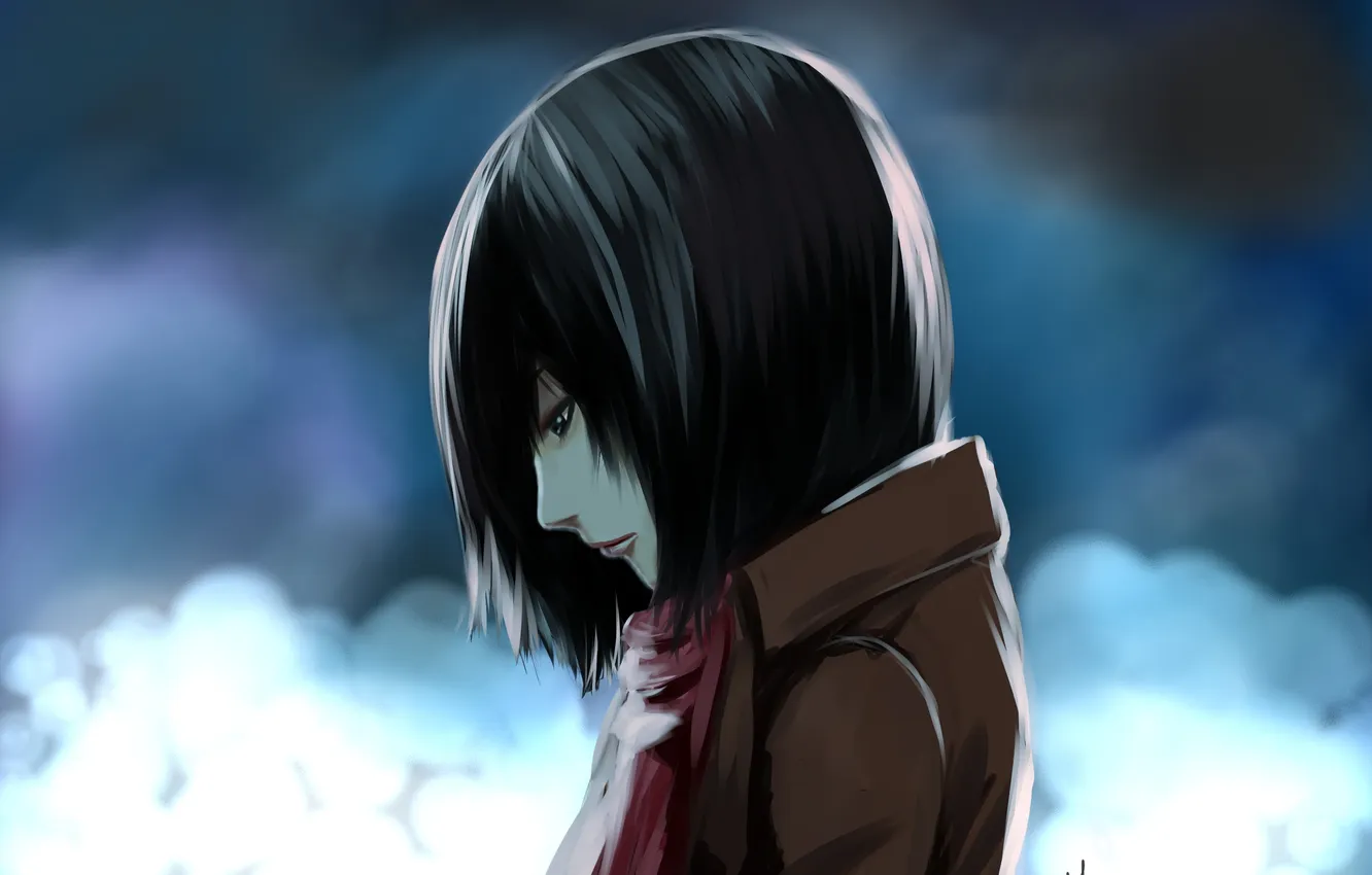 Photo wallpaper Art, Female, Single, Attack on Titan, Shingeki no Kyojin, Mikasa Ackerman