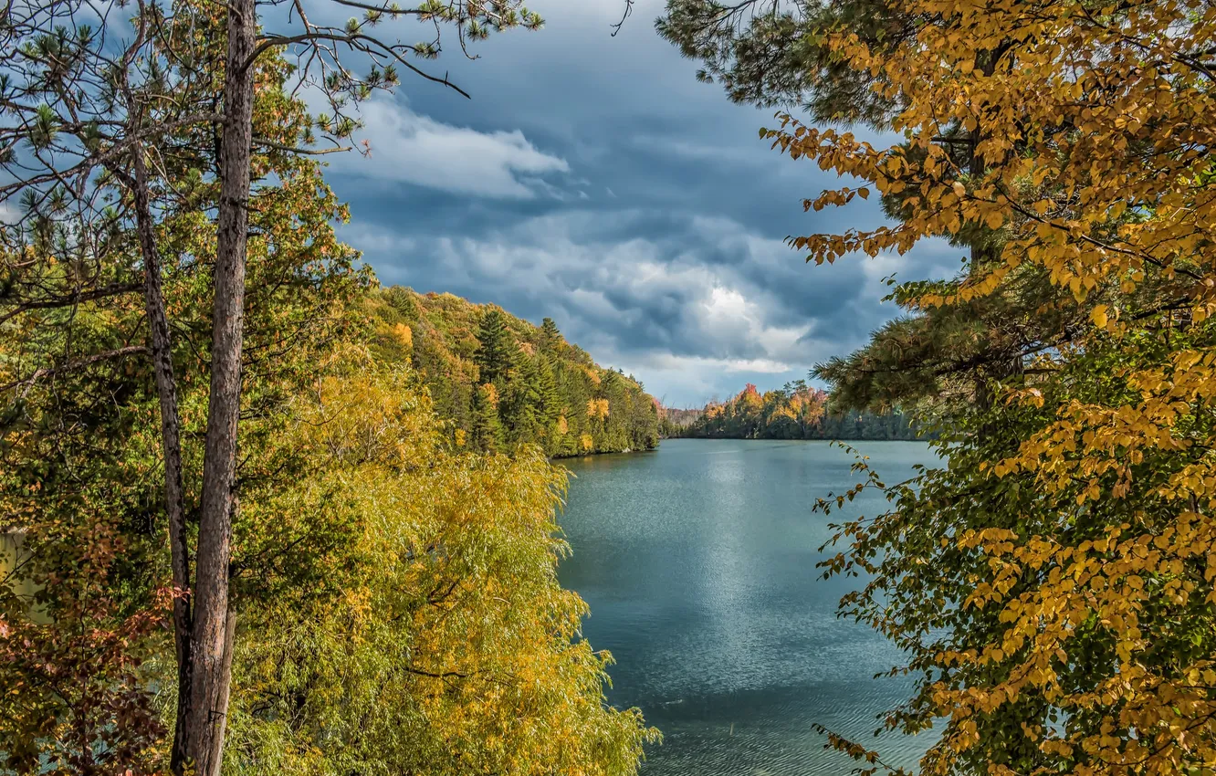 Photo wallpaper autumn, forest, the sky, leaves, clouds, trees, clouds, lake