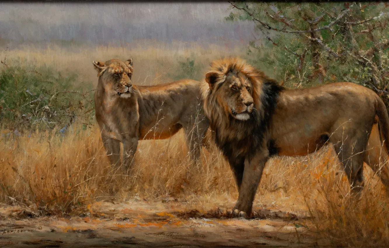 Photo wallpaper grass, trees, predator, picture, Leo, Savannah, two, big cats