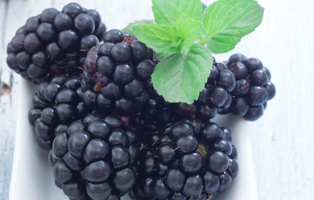 Photo wallpaper berry, BlackBerry, mint leaves