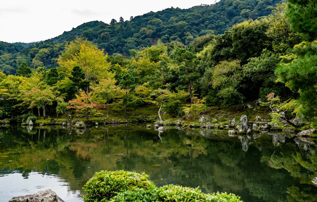 Photo wallpaper pond, Park, photo, Japan, Kyoto