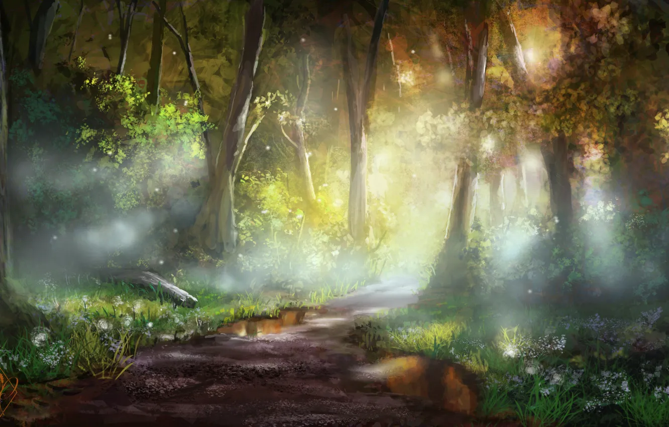 Photo wallpaper forest, flowers, trail, puddle, art, jjpeabody