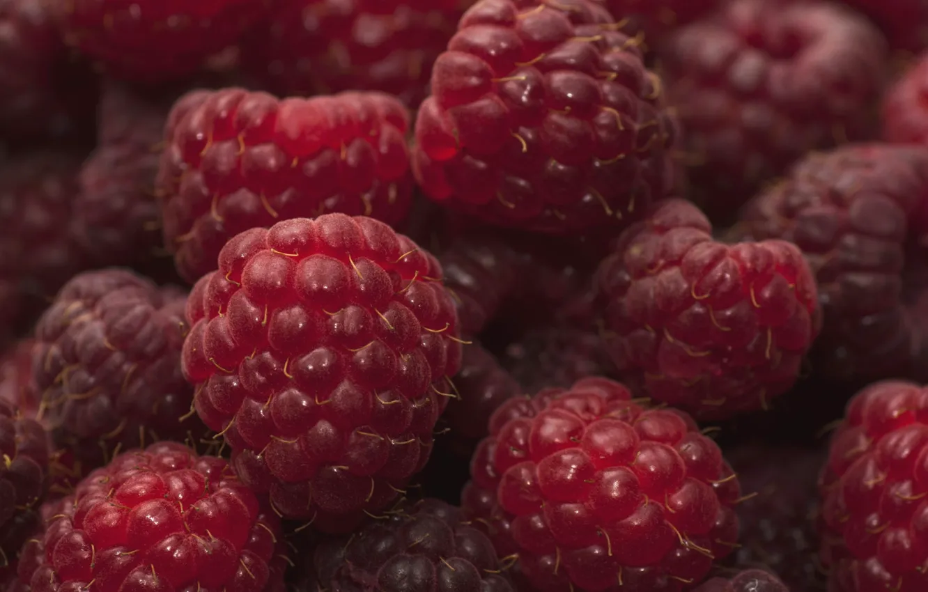 Photo wallpaper macro, berries, raspberry