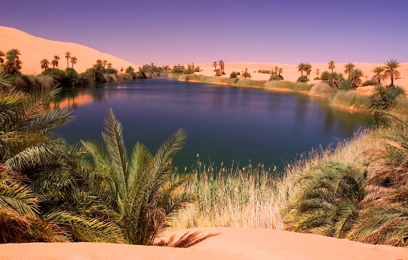 Photo wallpaper lake, desert, oasis