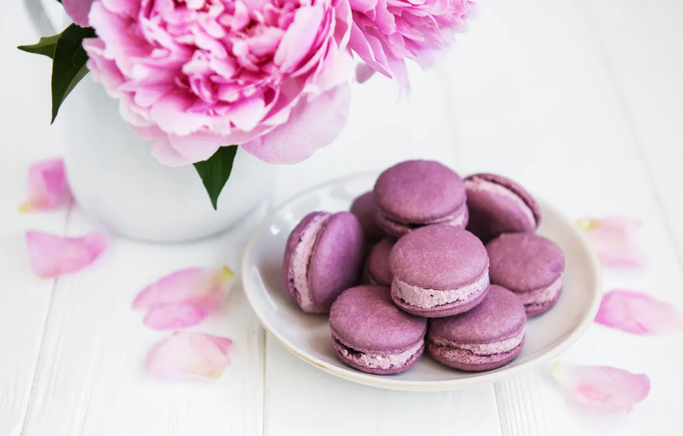 Photo wallpaper plate, pink, peonies, macaroon, almond, Olena Rudo
