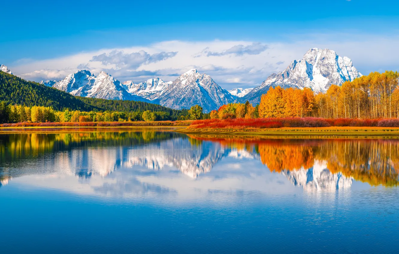 Photo wallpaper autumn, forest, trees, mountains, reflection, river, Wyoming, panorama