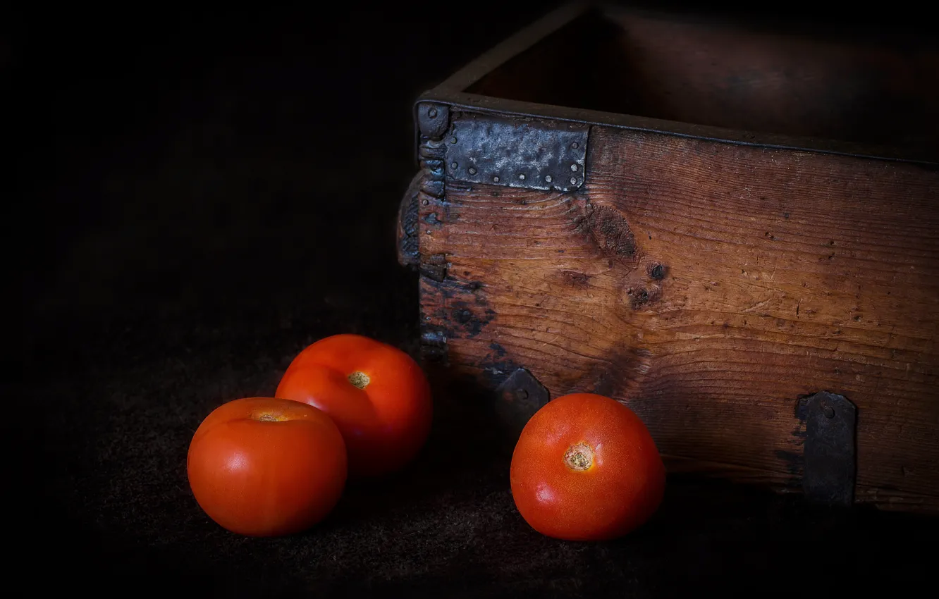 Photo wallpaper tomatoes, tomatoes, Tomates