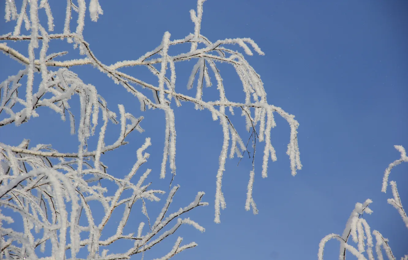 Photo wallpaper cold, winter, snow