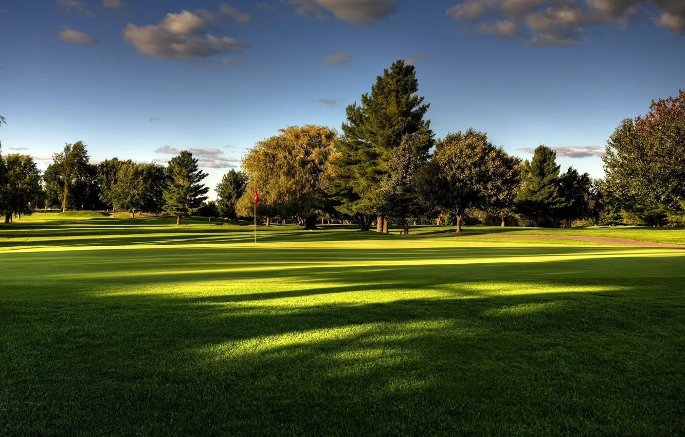 Photo wallpaper field, lawn, Golf, the box