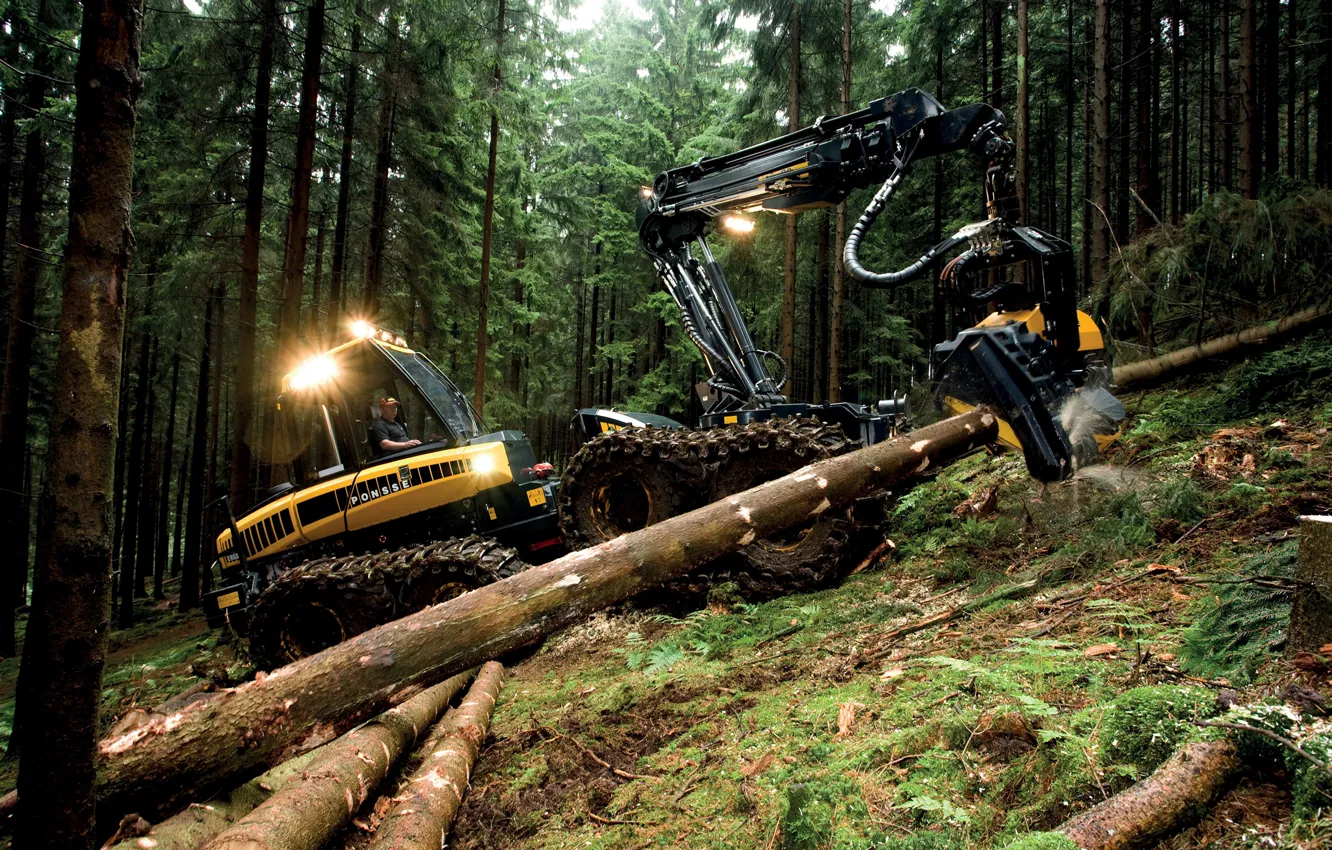 Photo wallpaper forest, trees, lights, sawdust, wheel, logs, forestry equipment, Ponsse