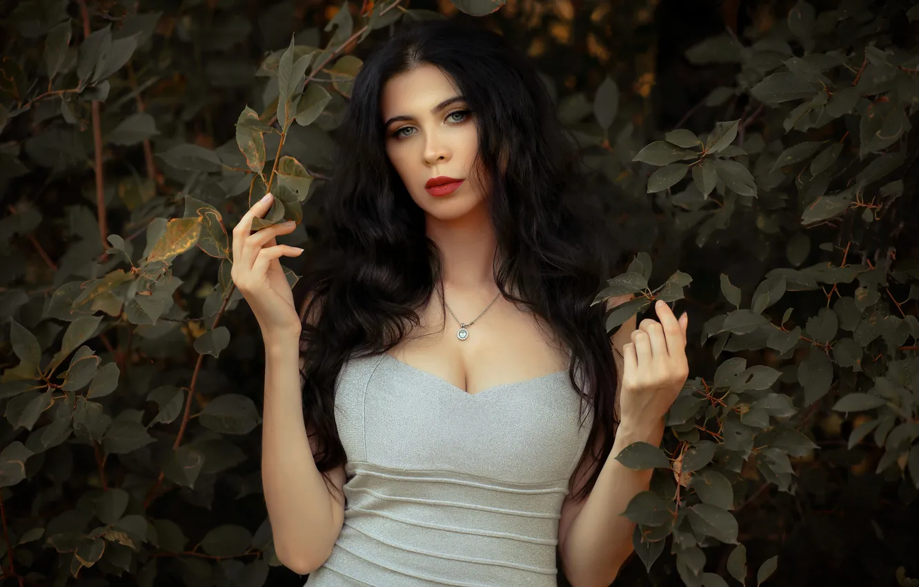 Photo wallpaper model, Sight, Maximov Stanislav