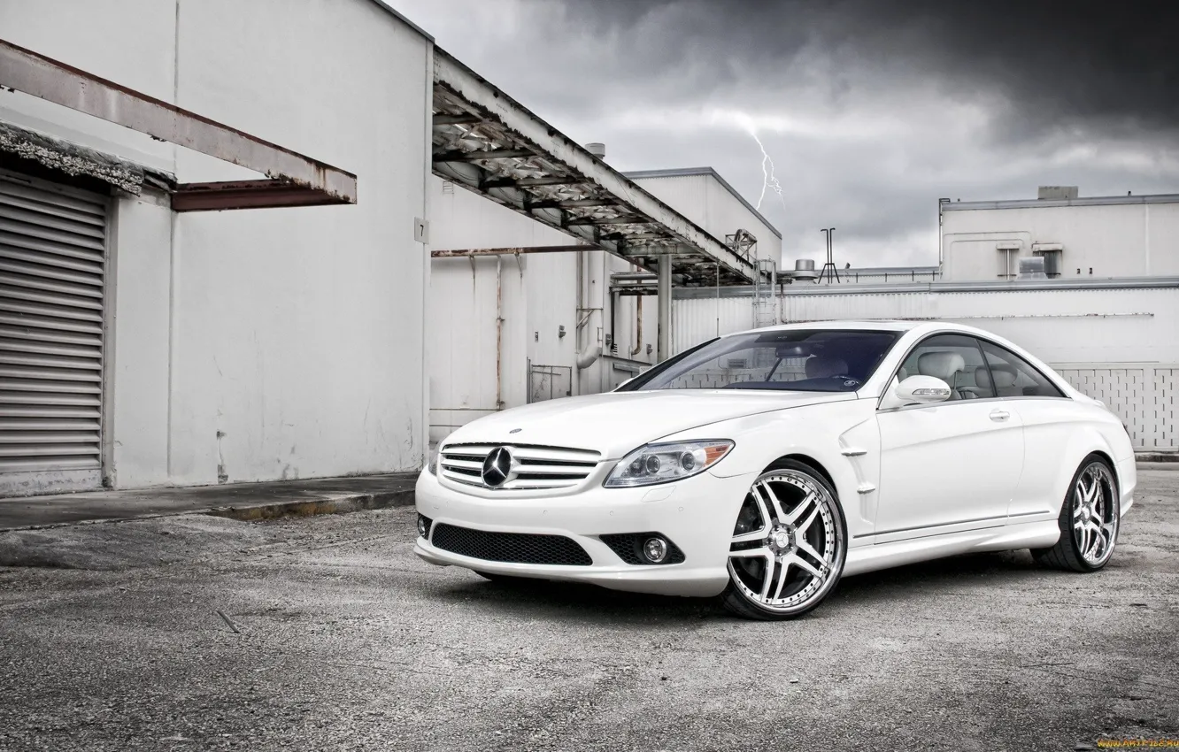 Photo wallpaper road, plant, Mercedes