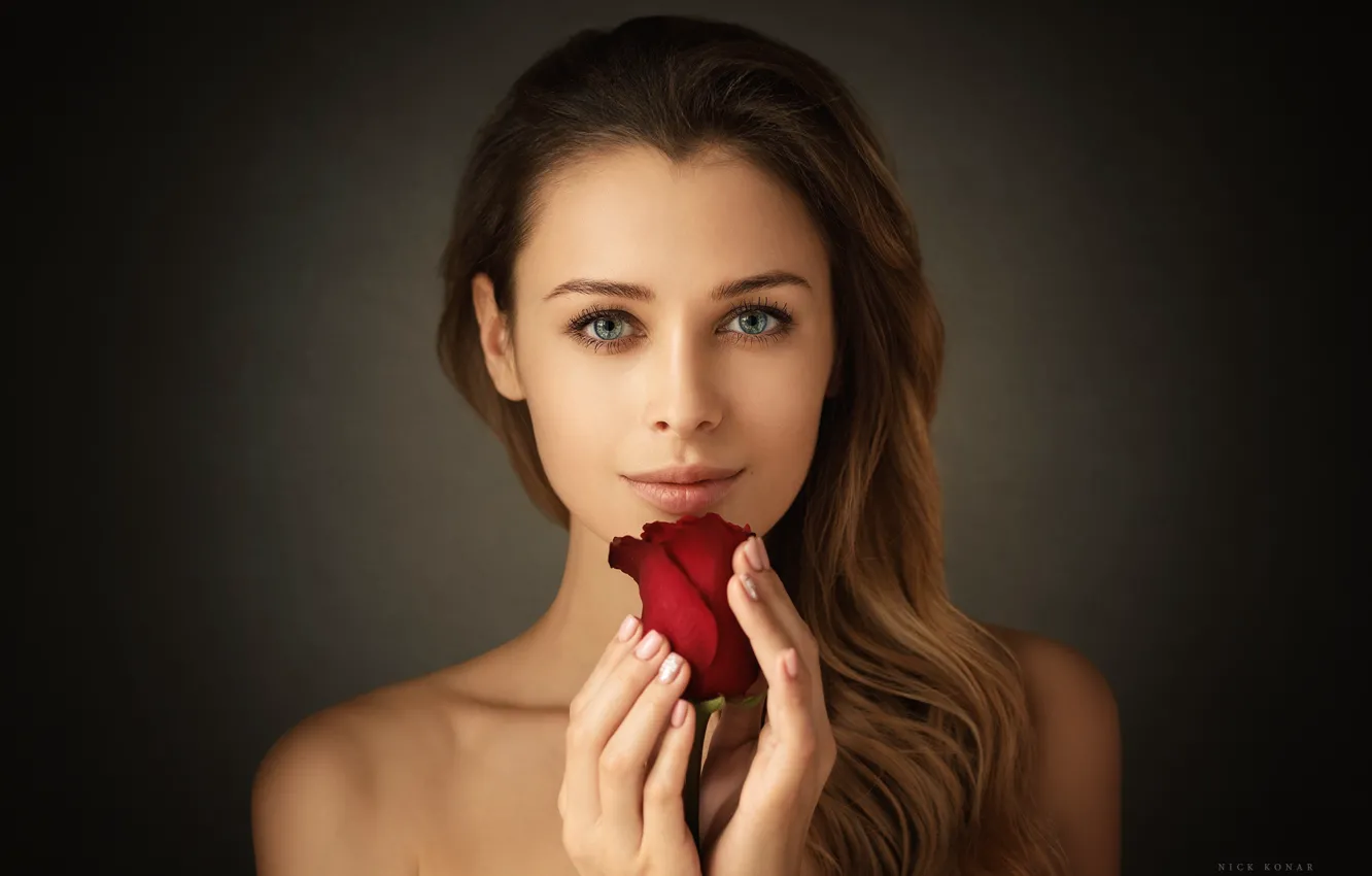 Photo wallpaper look, girl, flowers, roses, Nikolay Konarev, Polina Kovalenko