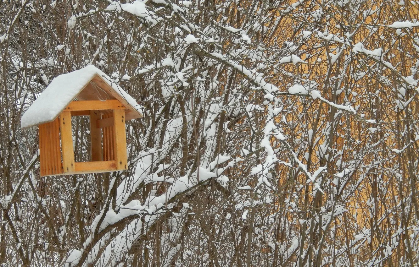 Photo wallpaper winter, snow, background, widescreen, Wallpaper, wallpaper, the bushes, widescreen