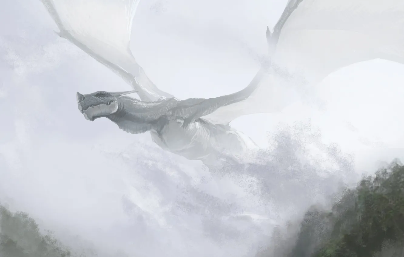Photo wallpaper flight, fog, hills, dragon, art