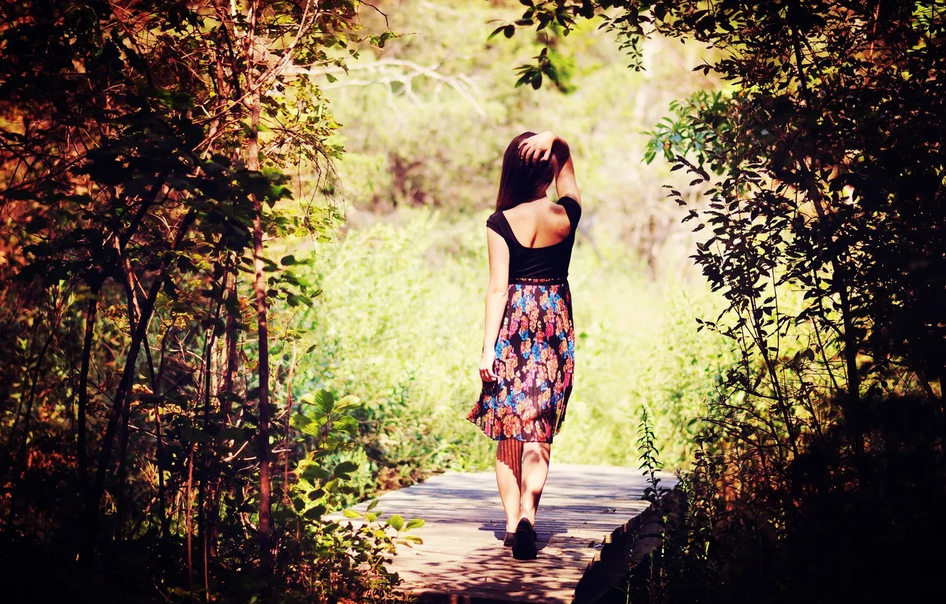 Photo wallpaper forest, girl, nature, the bridge