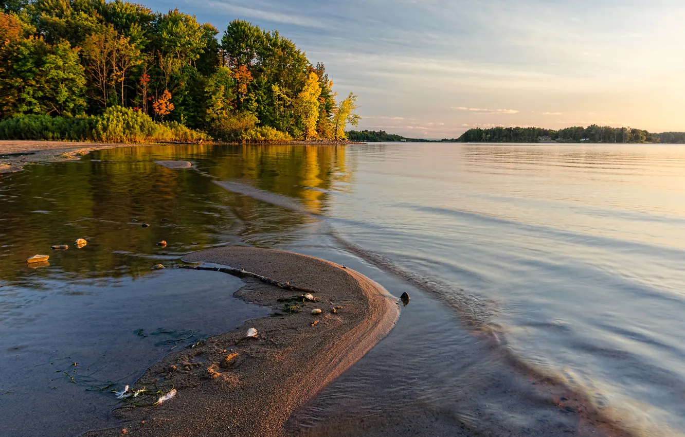 Photo wallpaper autumn, the sky, trees, lake, shore