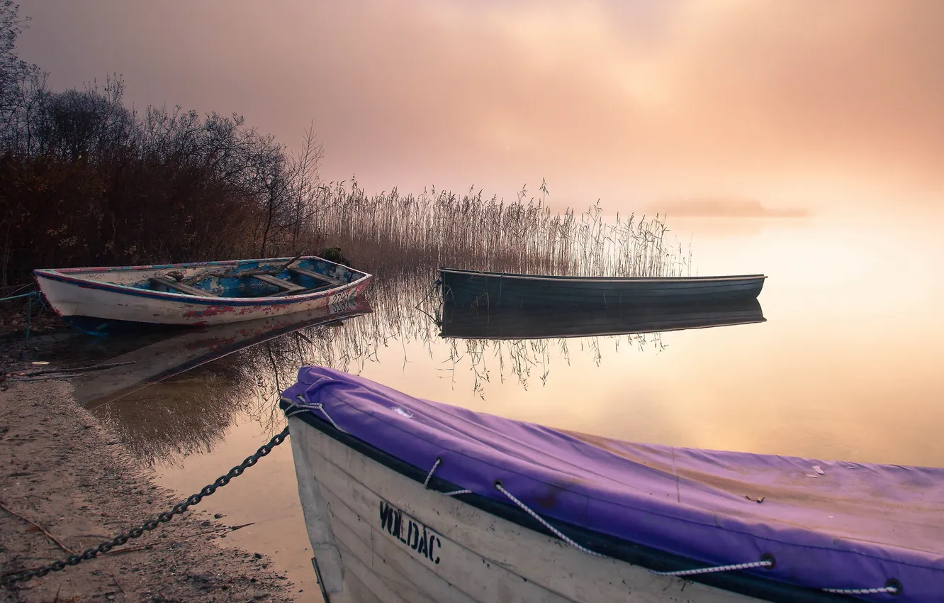 Photo wallpaper landscape, fog, lake, boat