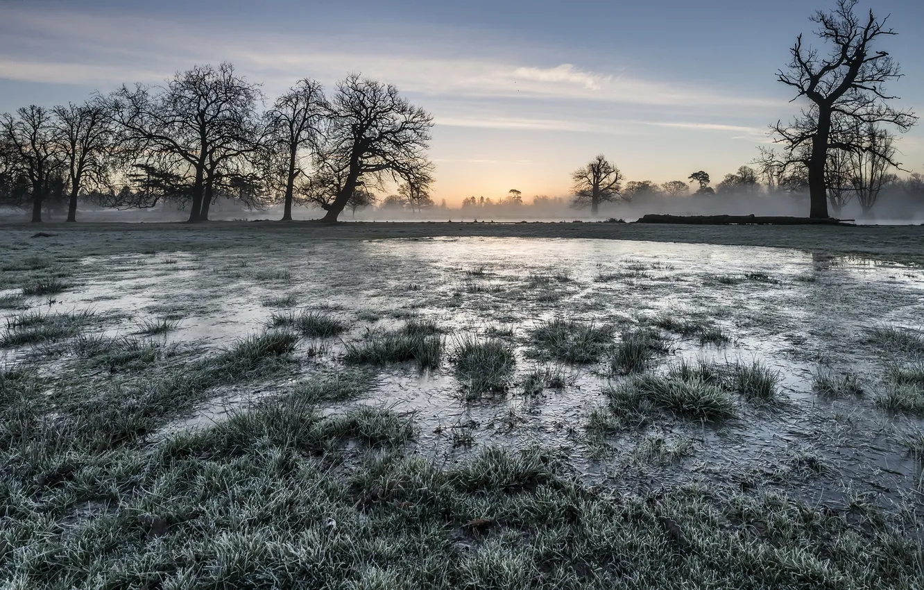 Photo wallpaper field, water, landscape, morning