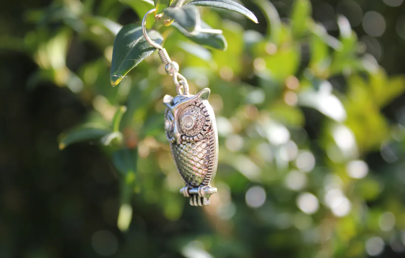 Photo wallpaper leaves, owl, pendant