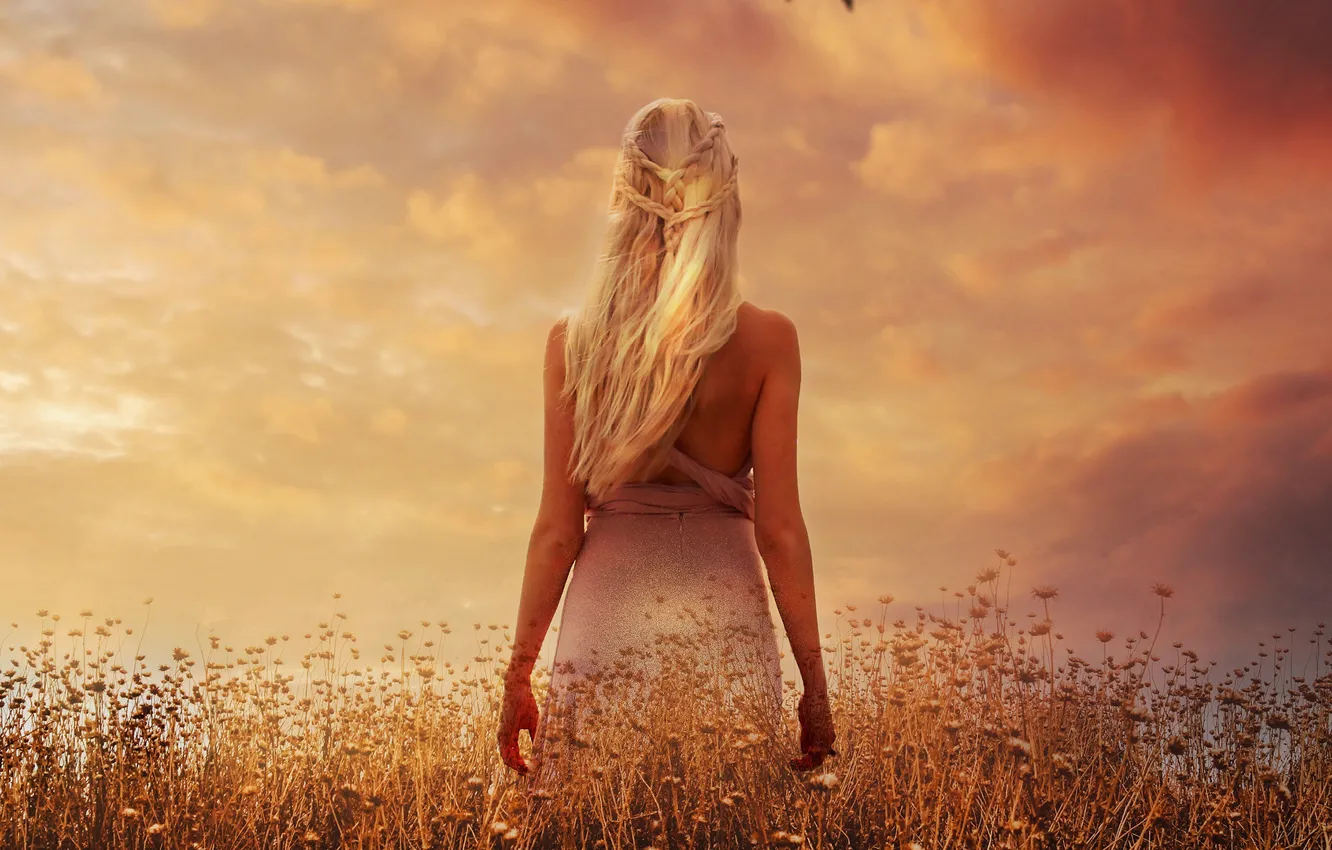 Photo wallpaper field, the sky, clouds, sunset, flowers, hair, back, plants