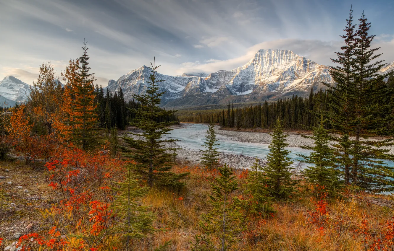 Photo wallpaper autumn, forest, mountains, Canada, Albert, Jasper national Park, October, river Athabasca