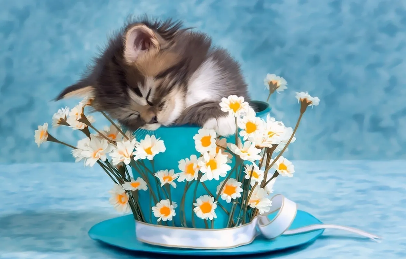 Photo wallpaper flowers, photo, Cup, kitty