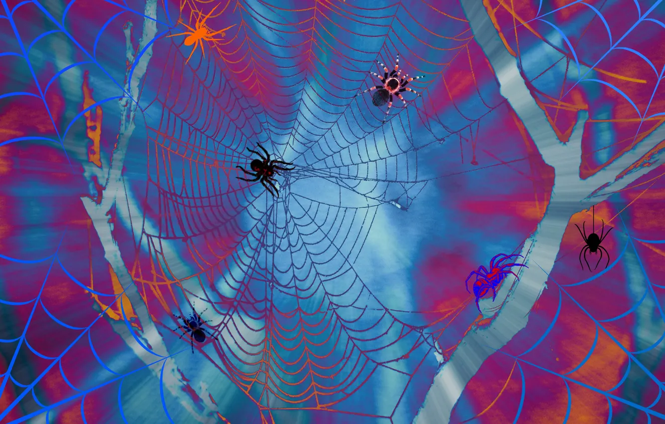 Photo wallpaper line, collage, paint, web, spider