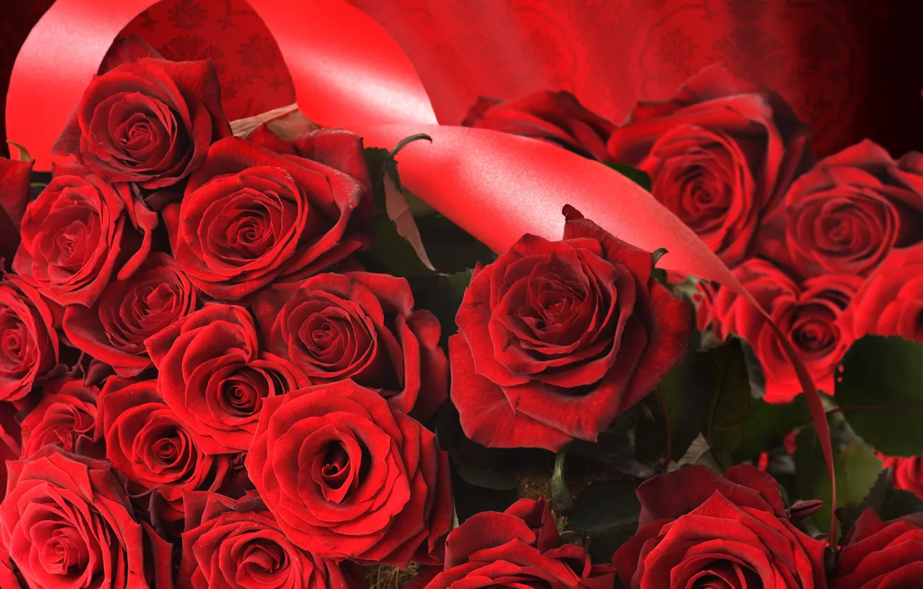 Photo wallpaper red, rose, roses, tape