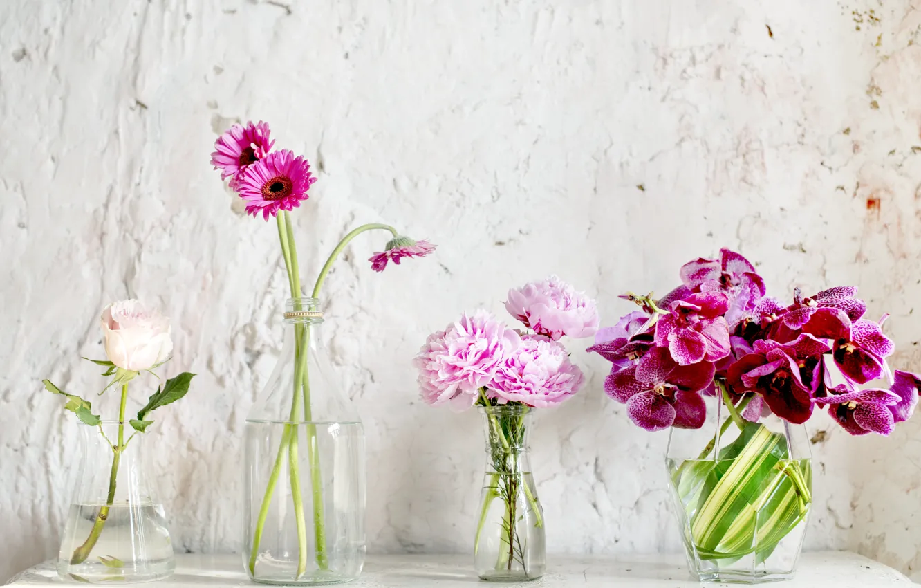 Photo wallpaper flowers, bouquet, vase, gerbera, Orchid