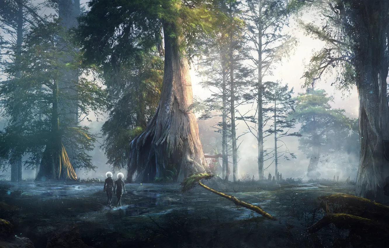 Photo wallpaper forest, trees, vegetation, traveler, Adventure