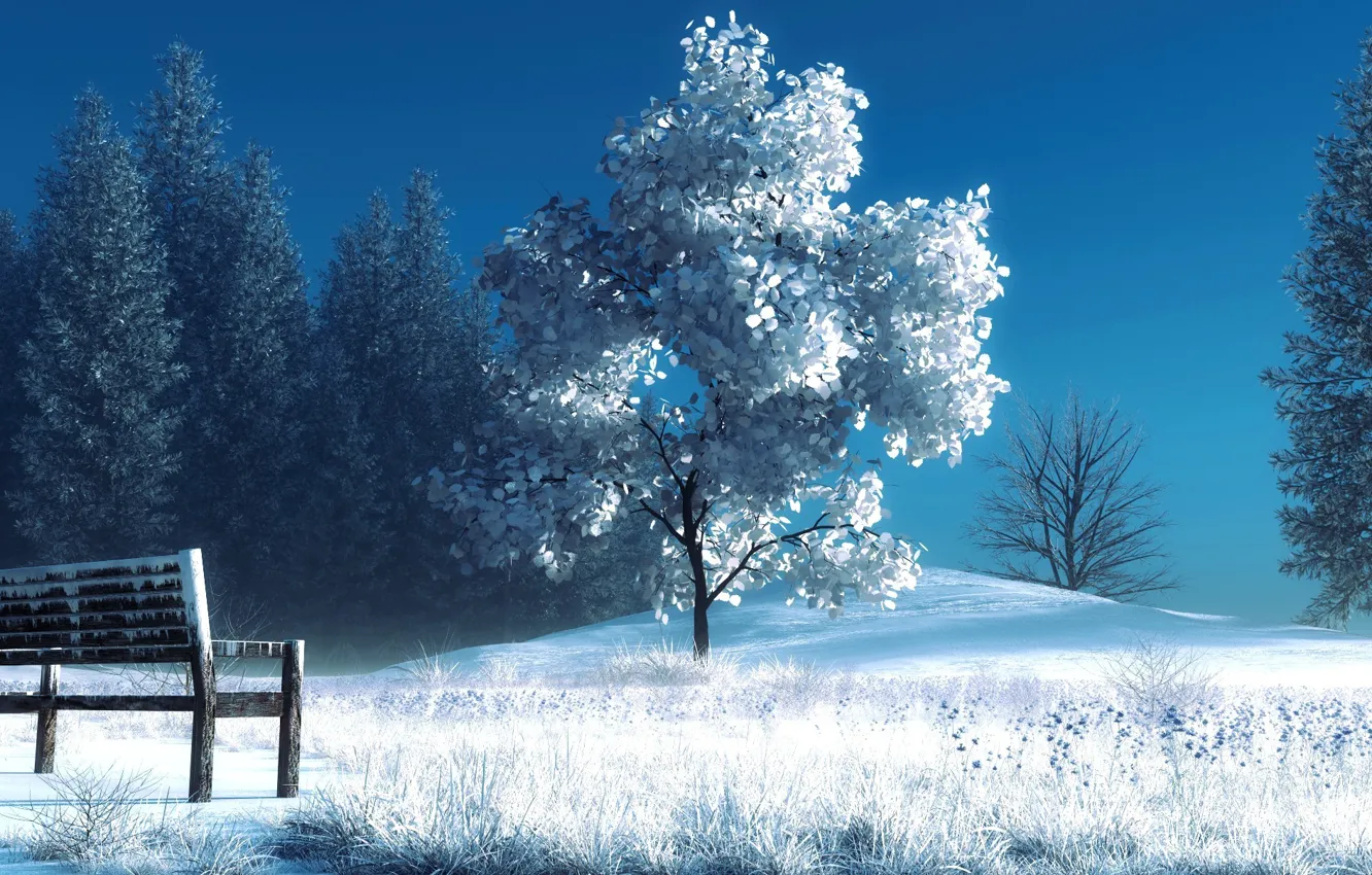 Photo wallpaper winter, snow, trees, bench, art, shop