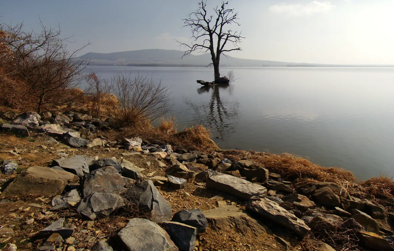 Photo wallpaper trees, lake, Czech Republic, The Czech Republic