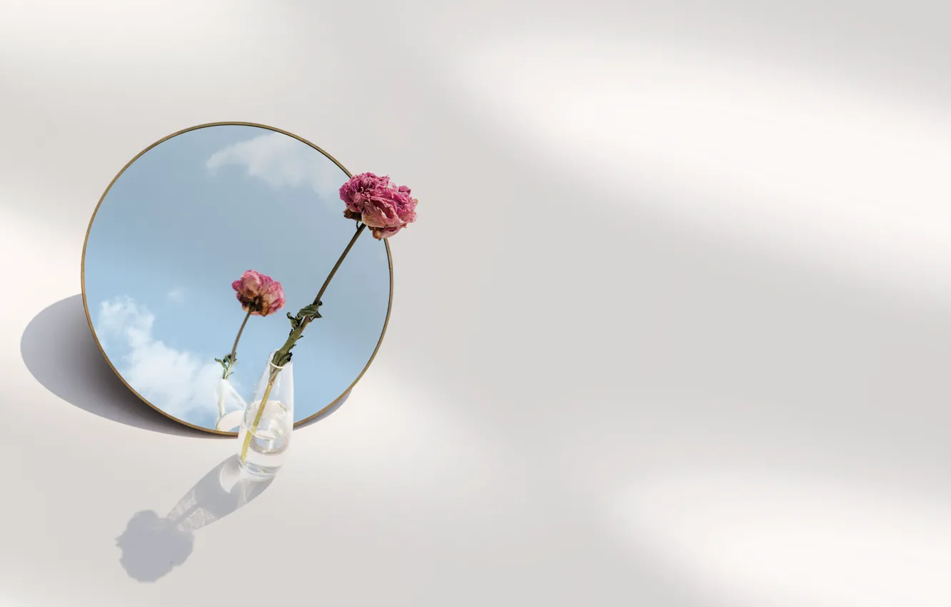 Photo wallpaper the sky, flowers, mirror, flower, sky, mirror