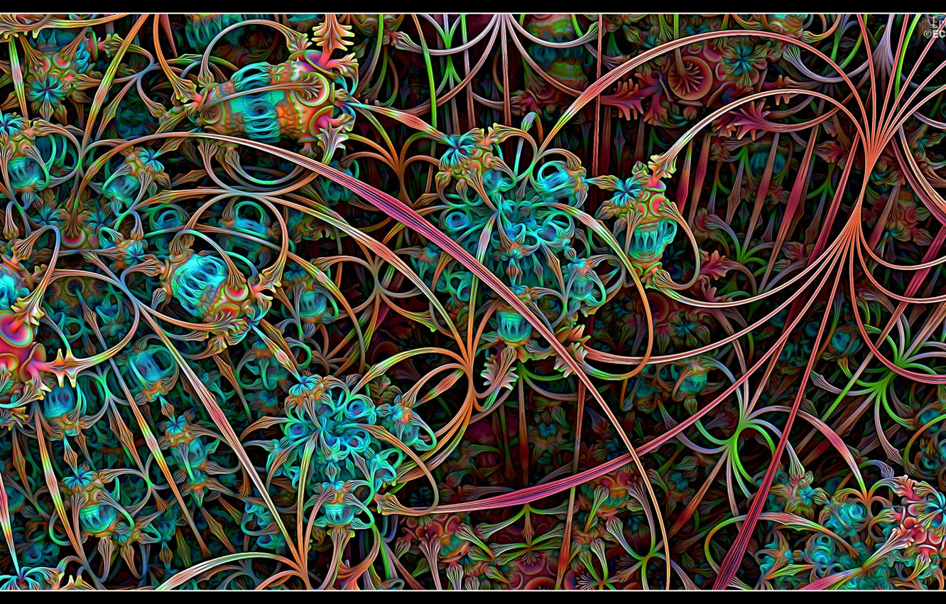 Photo wallpaper fractal, psychedelic, VISUALIZZA