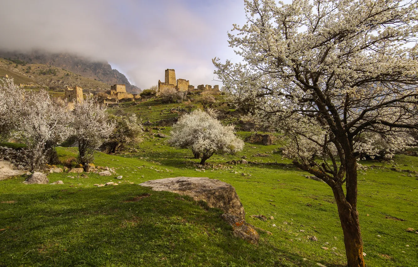 Photo wallpaper grass, trees, home, space, tower, The Caucasus, Murzinov Victor