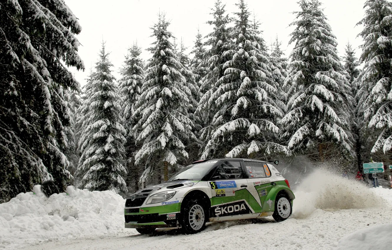 Photo wallpaper Winter, Auto, Snow, Forest, Sport, WRC, Rally, Skoda