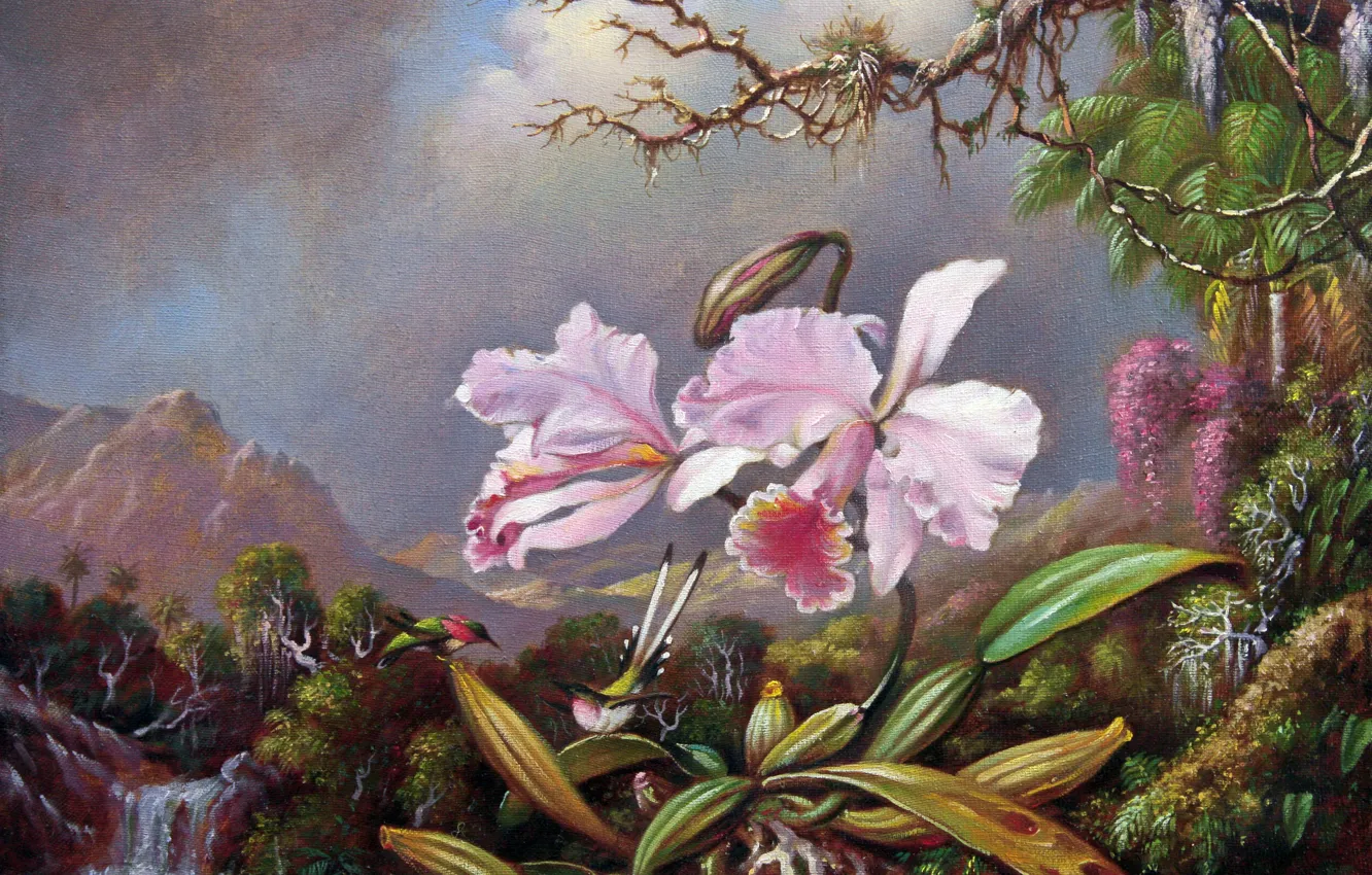 Photo wallpaper picture, painting, canvas, Martin Johnson Head, Martin Johnson Heade, Orchids and hummingbirds