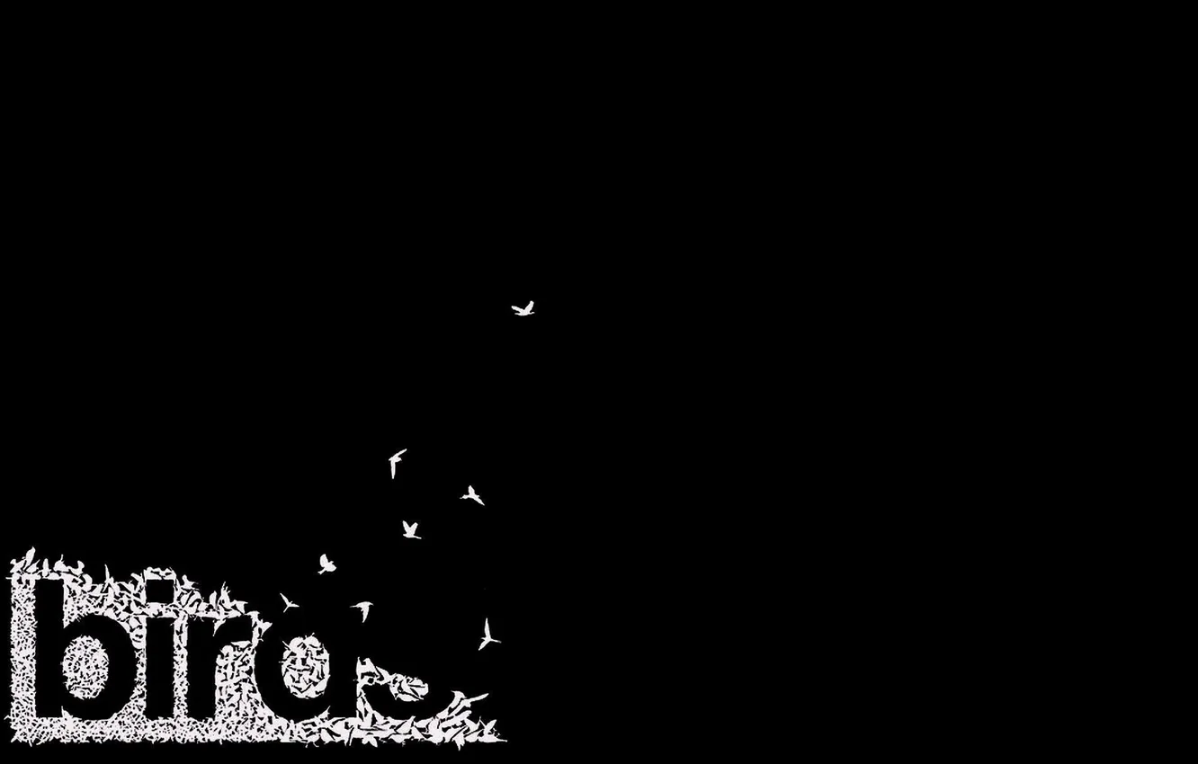 Photo wallpaper the inscription, bird, minimalism, black and white, birds