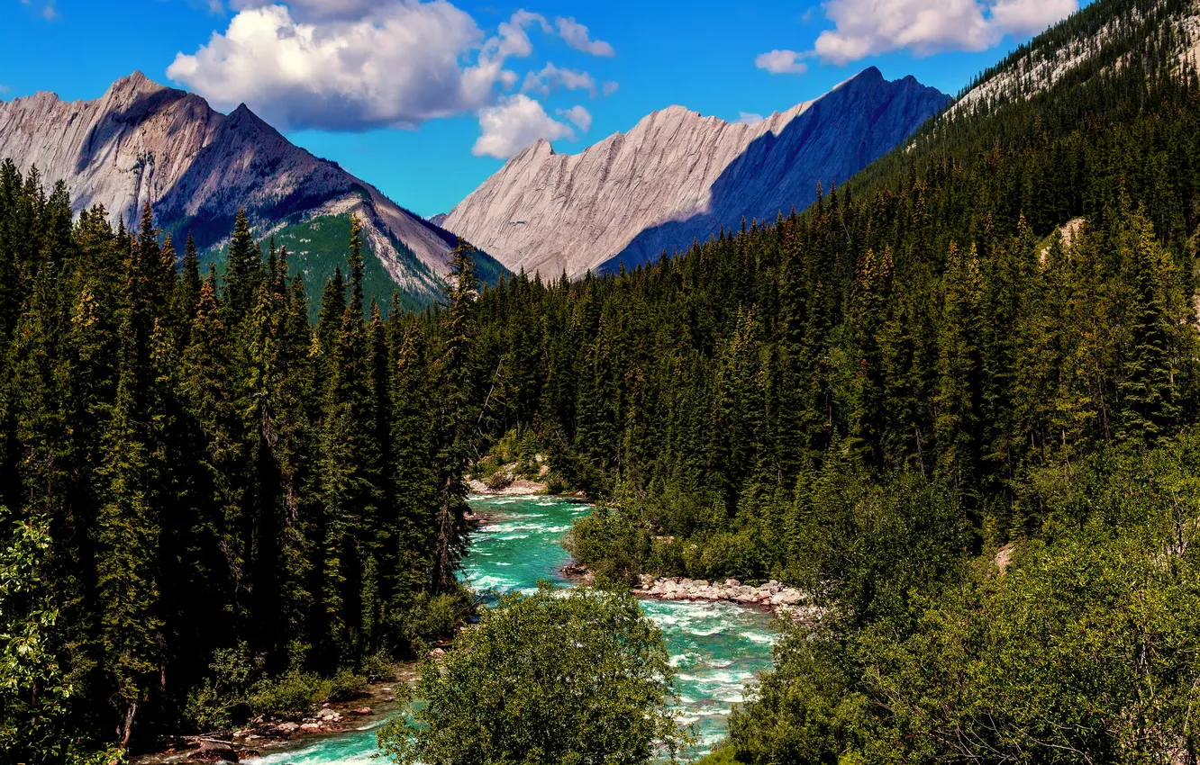 Photo wallpaper forest, summer, the sky, clouds, mountains, river, Canada, Albert