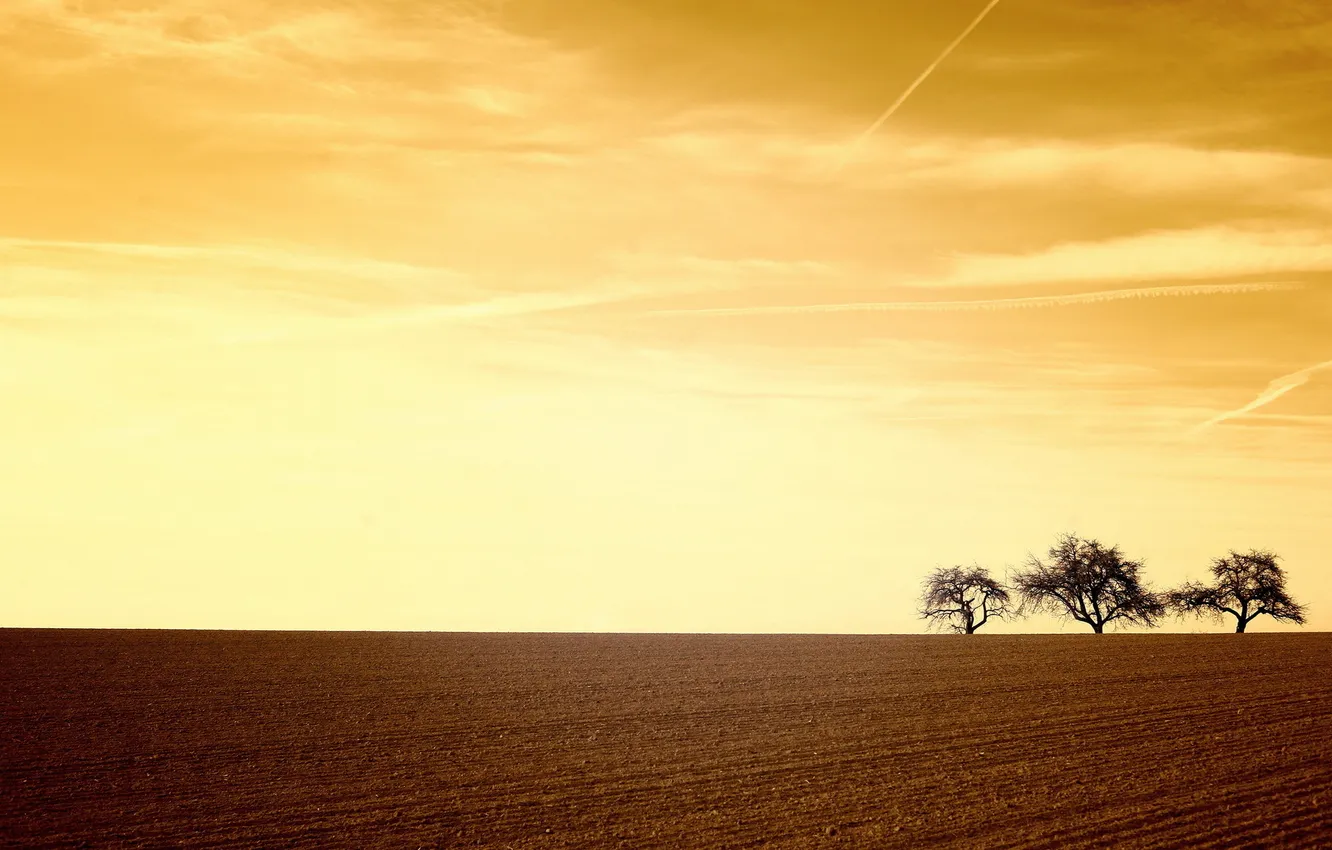 Photo wallpaper field, landscape, sunset