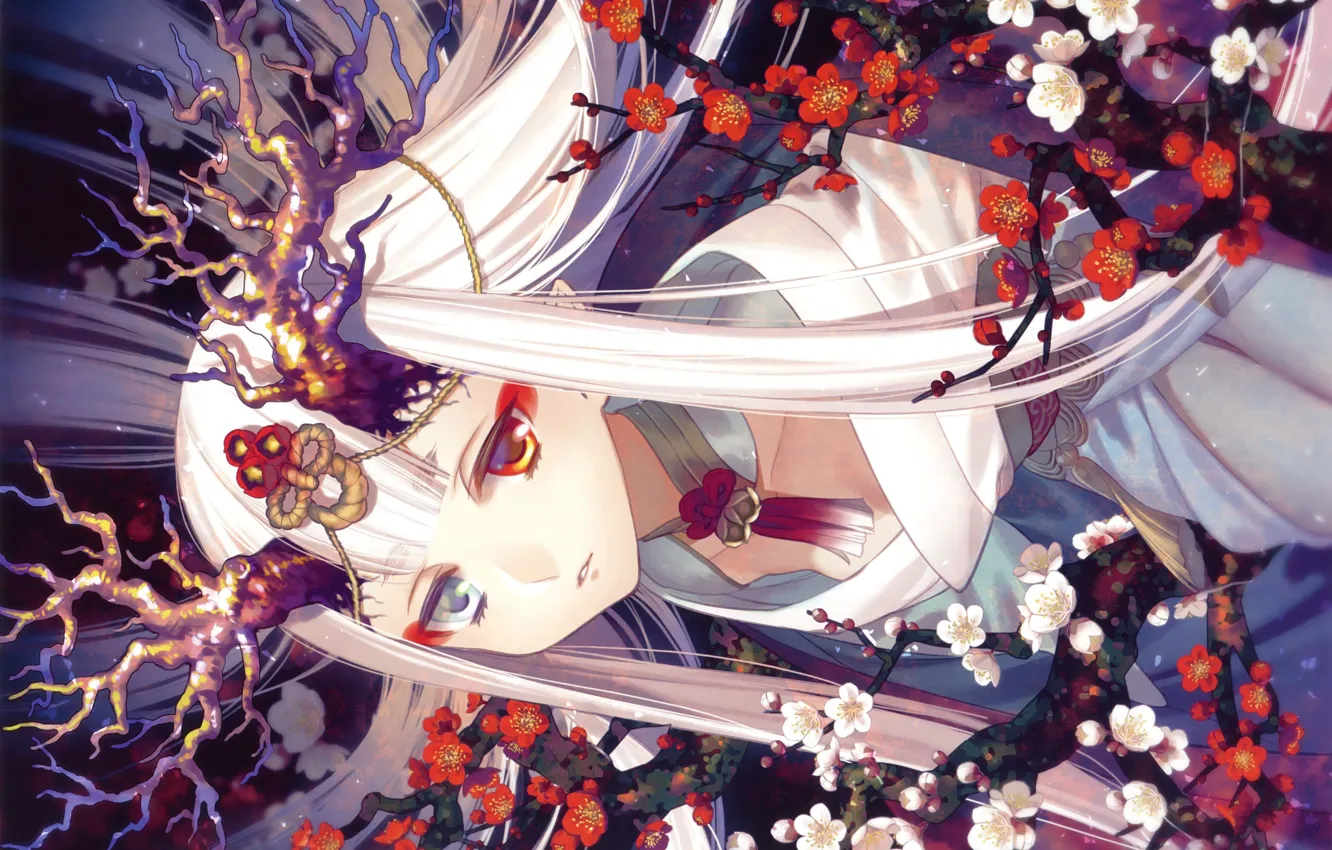 Photo wallpaper Japanese clothing, cherry blossoms, different eyes, youkai, long white hair, by Yone Kazuki, horns on …