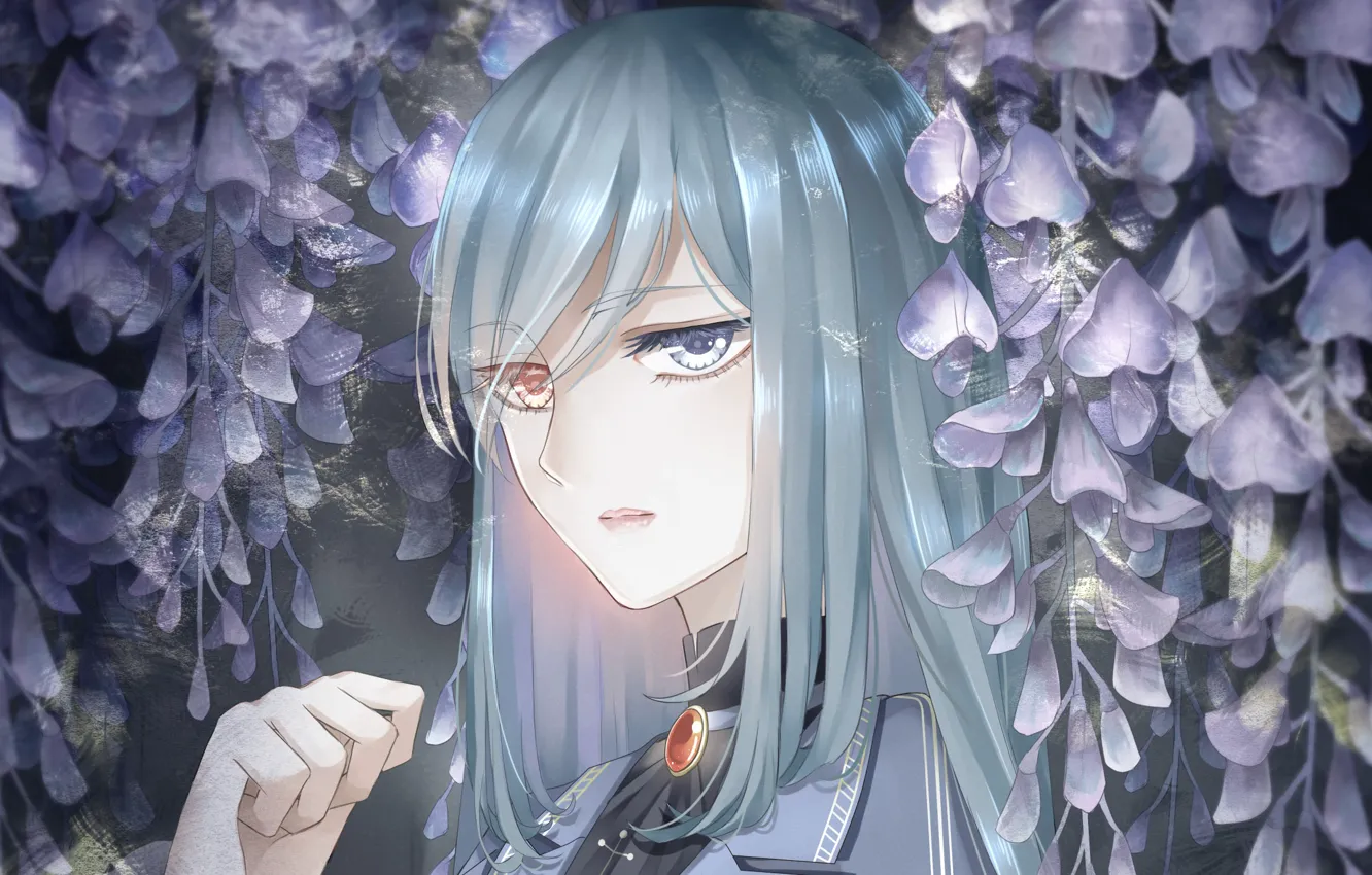 Photo wallpaper flowers, Girl, different eyes, heterochromia, Wisteria, Wisteria