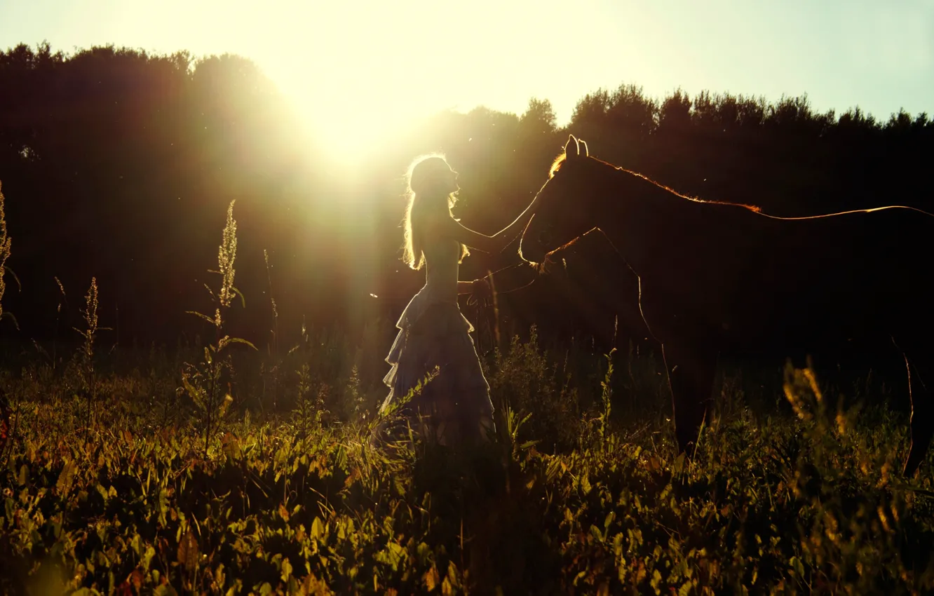 Photo wallpaper field, summer, girl, the sun, horse