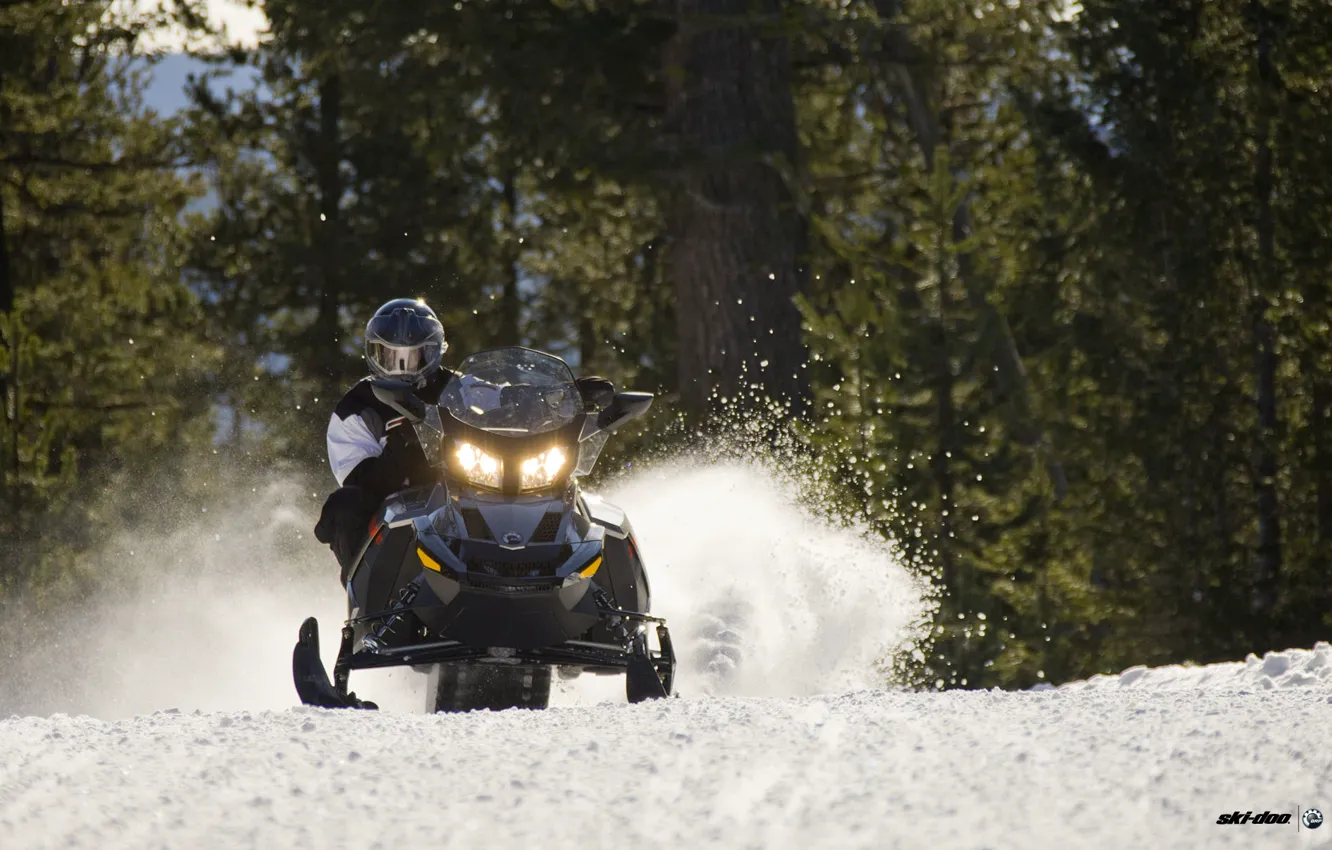 Photo wallpaper forest, snow, trees, black, snowmobile, snowmobile, ski-doo