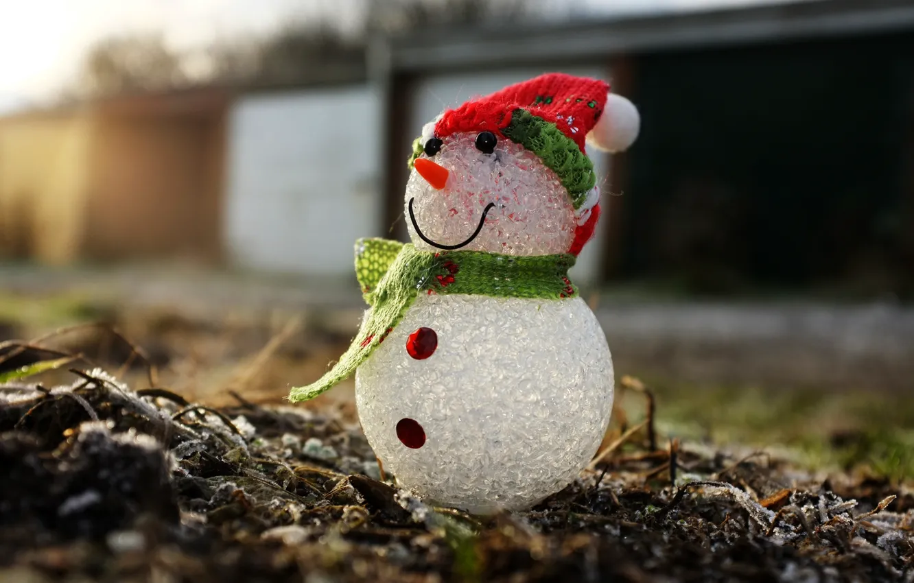 Photo wallpaper macro, holiday, snowman