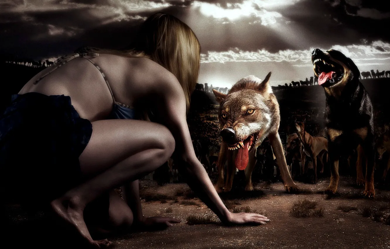 Photo wallpaper cinema, girl, horror, survivor, movie, fear, film, Sara