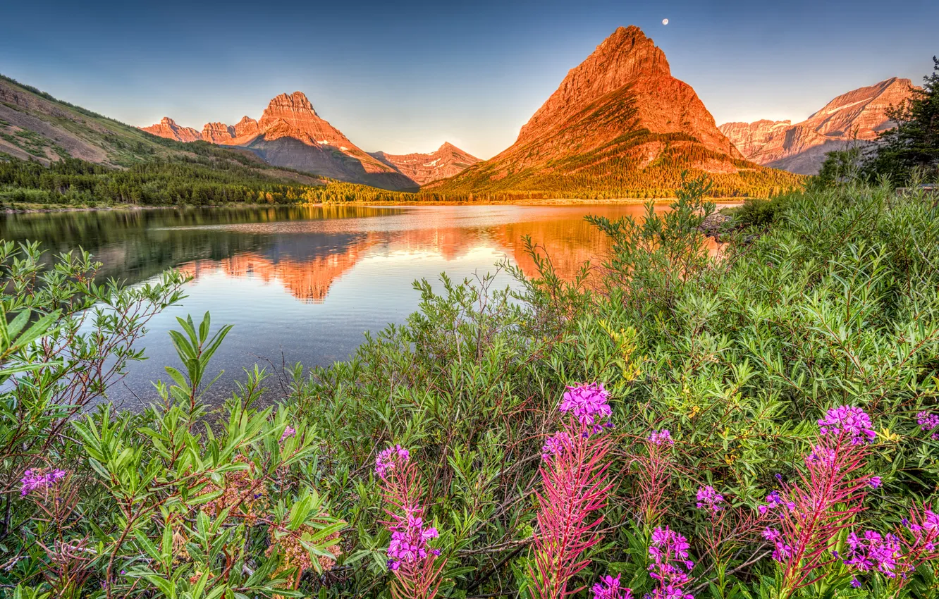 Photo wallpaper flowers, mountains, shore, pond, Ivan-tea