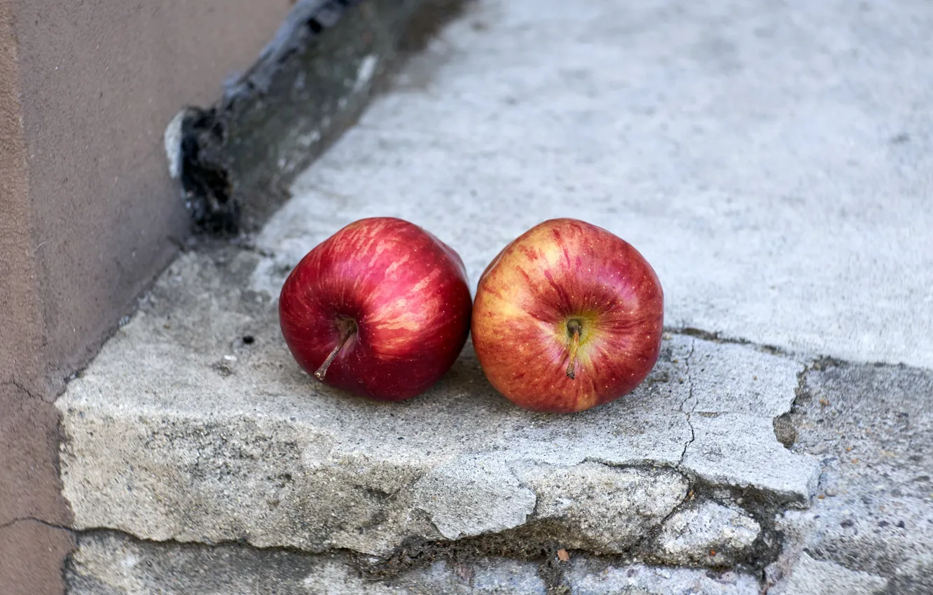 Photo wallpaper apples, fruit, naturalism