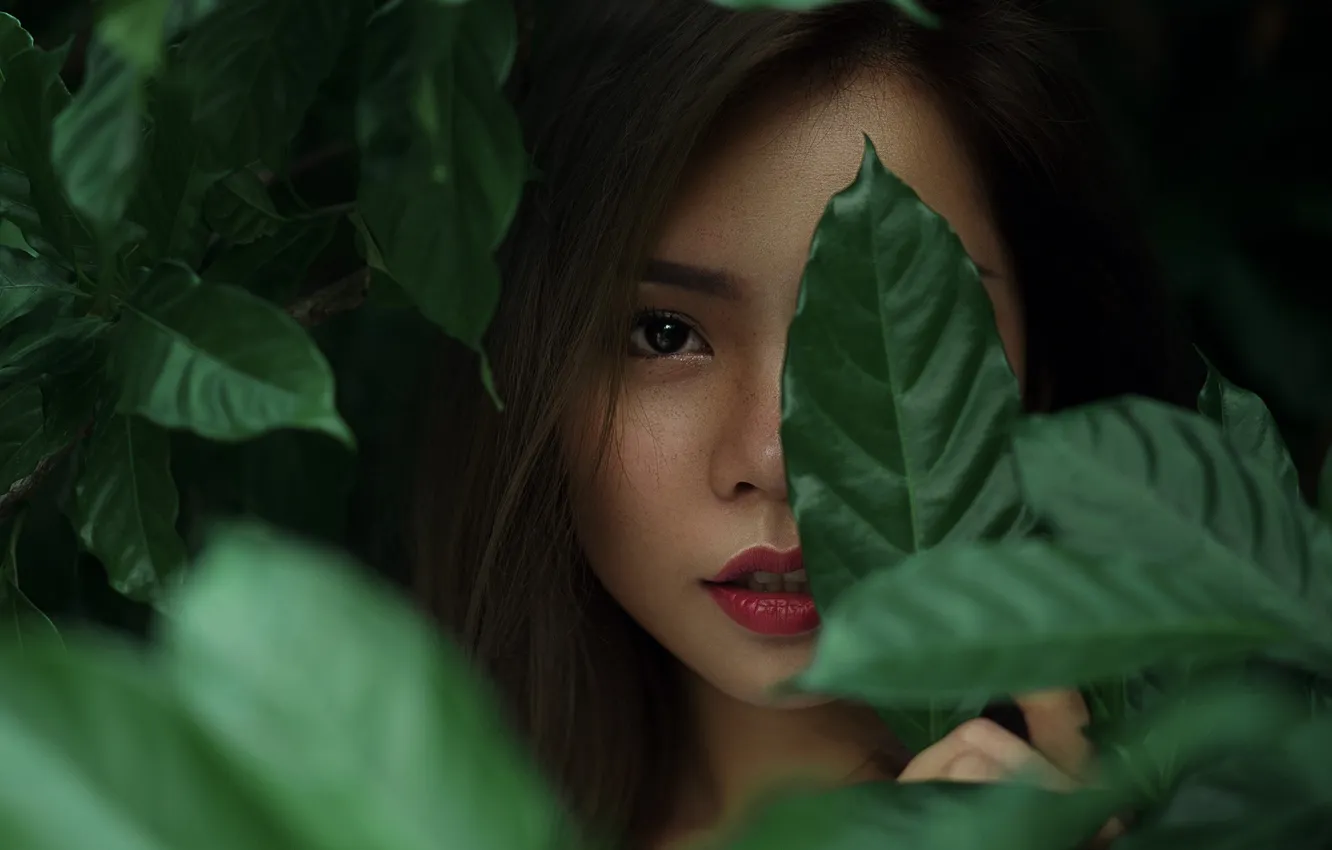 Photo wallpaper look, leaves, girl, close-up, face, model, portrait, hands